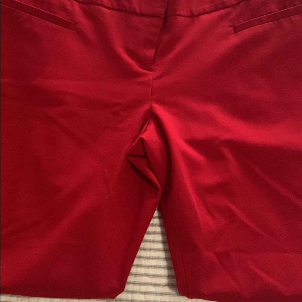 The Limited size 10 cropped pants